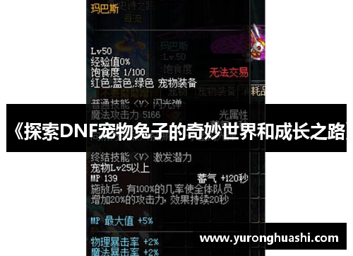 《探索DNF宠物兔子的奇妙世界和成长之路》