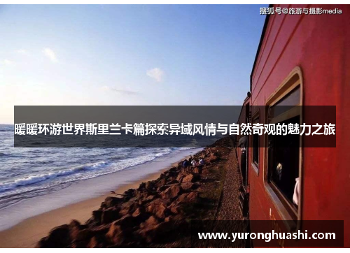 暖暖环游世界斯里兰卡篇探索异域风情与自然奇观的魅力之旅 暖暖环游世界斯里兰卡篇探索异域风情与自然奇观的魅力之旅