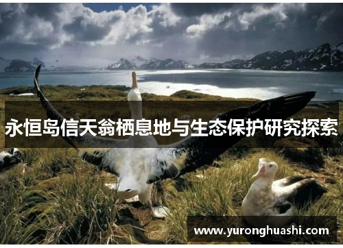 永恒岛信天翁栖息地与生态保护研究探索 永恒岛信天翁栖息地与生态保护研究探索