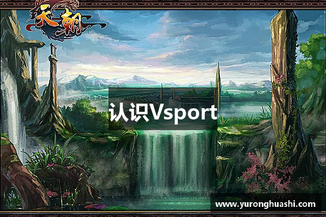 认识Vsport